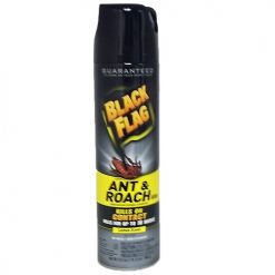 Black Flag Ant AND Roach Killer Lemon 17.5