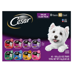 Cesar Dog Food 3.5oz Filet Mignon Flavor-wholesale