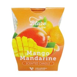 Blare Scented Candle 3.5oz Mango Mandari-wholesale