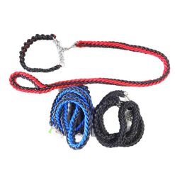 Pet Dog Leash W-Collar 2.5mmX1.2mm Asst-wholesale