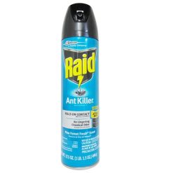Raid Ant Killer 17.5oz Pine Forest Fresh-wholesale