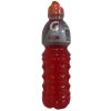 Gatorade G S-T 24oz Fruit Punch-wholesale