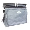 Brentwood Lunch & Cooler Bag 12 Can Grey-wholesale
