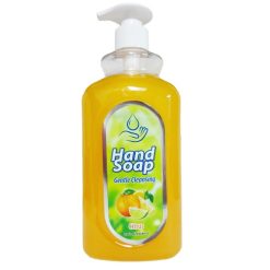 Hand Soap 28oz Citrus W-Pump-wholesale
