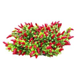Chili Peppers Bouquet 12in-wholesale