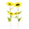 Sunflower Long Stem 43in-wholesale Sunflower Long Stem 43in-wholesale