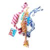 Pet Toy Knotted Rope 9in Asst Clrs-wholesale