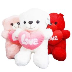 Toy Plush Teddy Bear 15in Asst Clrs-wholesale