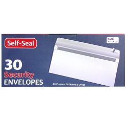 Envelopes Self-Seal 30ct #10-wholesale