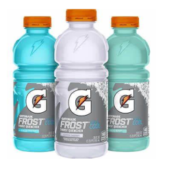 Gatorade G 20oz Frost Variety Pack-wholesale