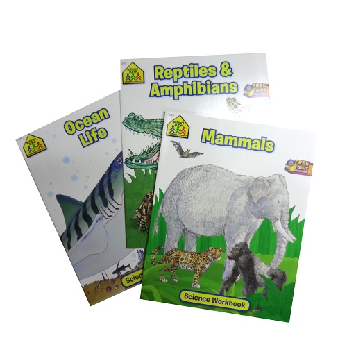 Kids Workbook Asst Creatures-wholesale Kids Workbook Asst Creatures-wholesale