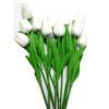 Flowers Tulip Stem White-wholesale