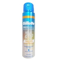 Gillette Anti-Persp Spray 4.3oz Glacier-wholesale