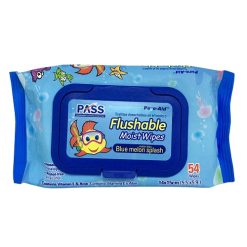 Pure-Aid Flushable Moist Wipes 54ct Blue-wholesale