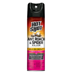 Hot Shot Ant Roach & Spider Killer 17.5o-wholesale