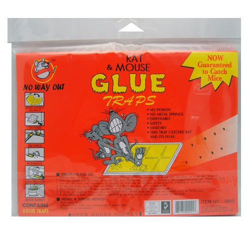 Rat AND Mouse Glue Traps 2pk Flat