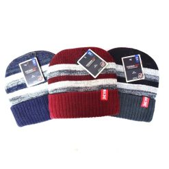 ThermaX Winter Beanie W-Stripes Asst-wholesale